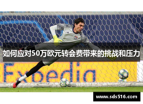 如何应对50万欧元转会费带来的挑战和压力